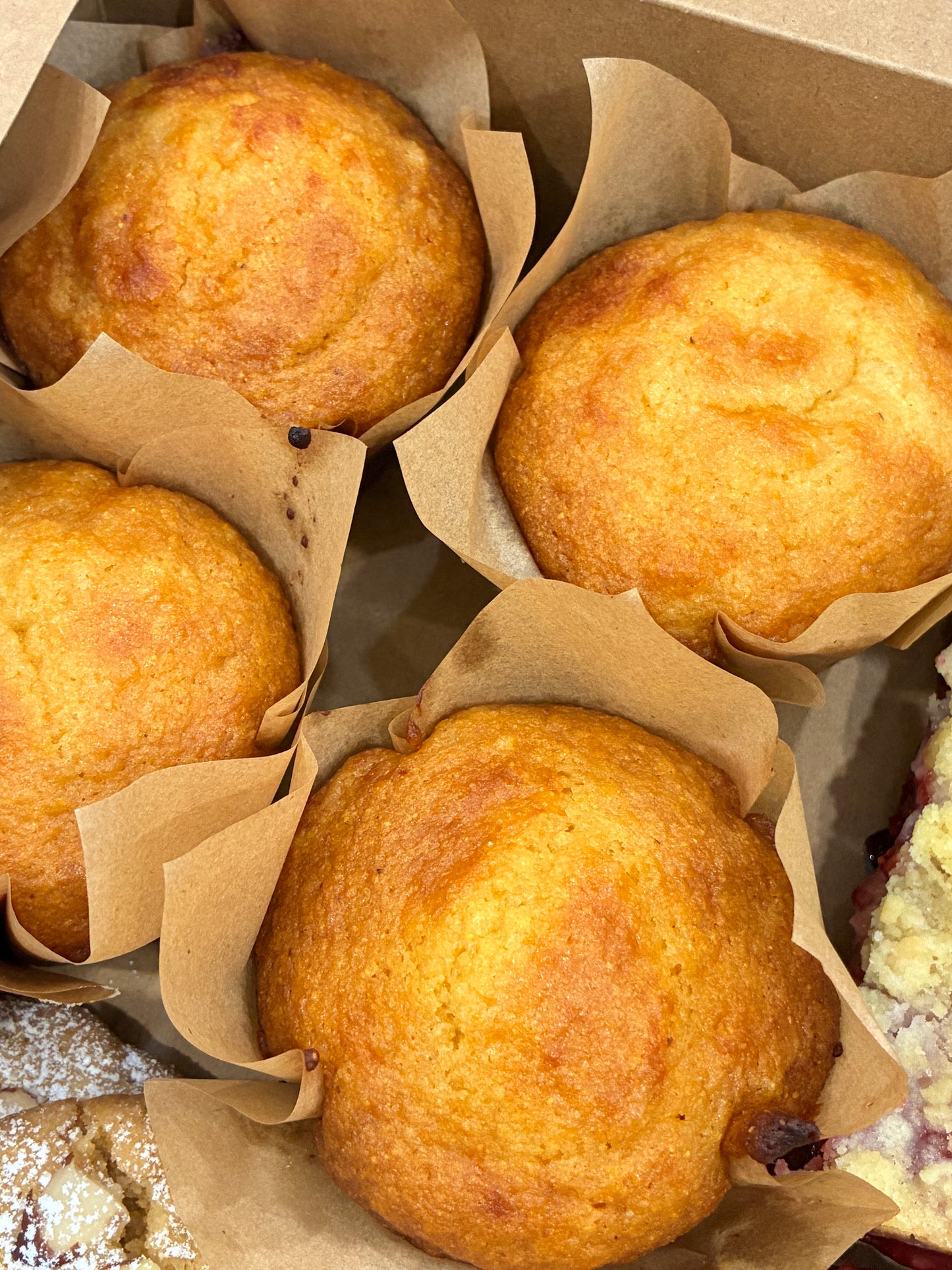 Honey Cornbread Muffin HHMP- 6ct