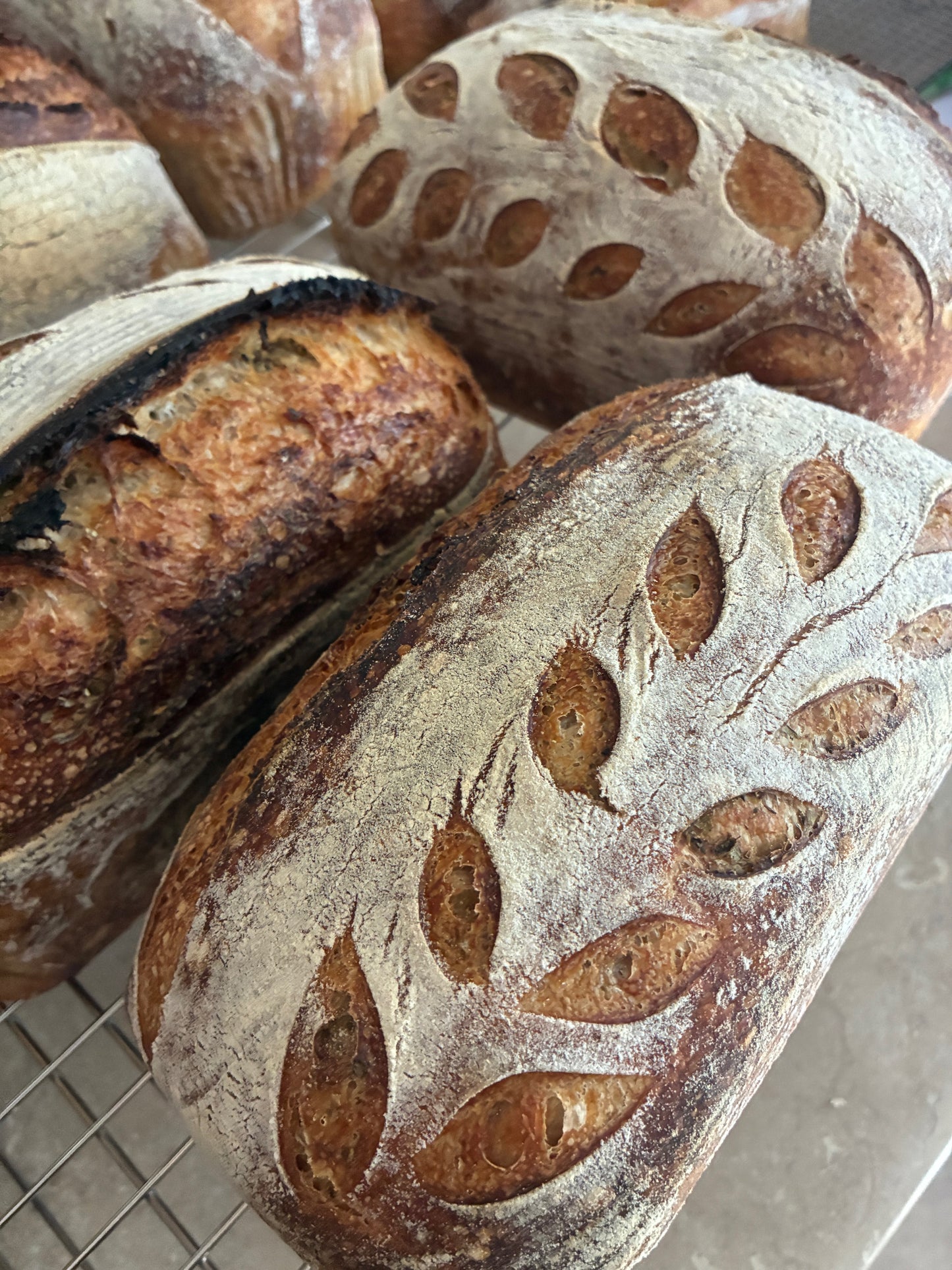 Garlic & Herb Sourdough Loaf