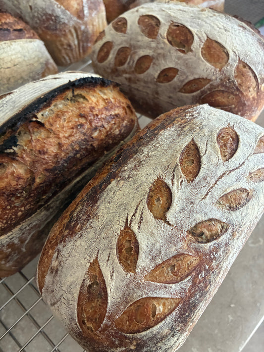 Garlic & Herb Sourdough Loaf