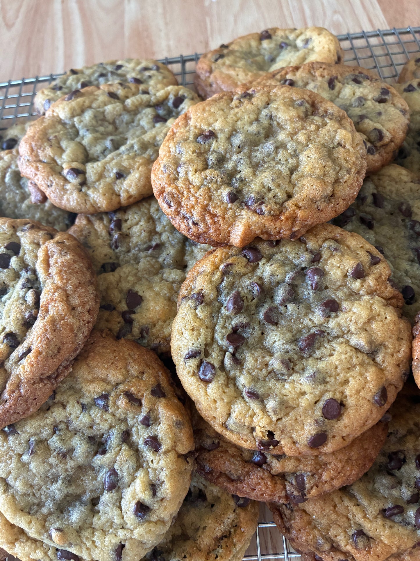 Chocolate Chip Cookie- HHMP