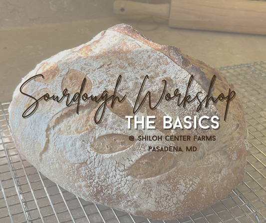 Sourdough Workshop